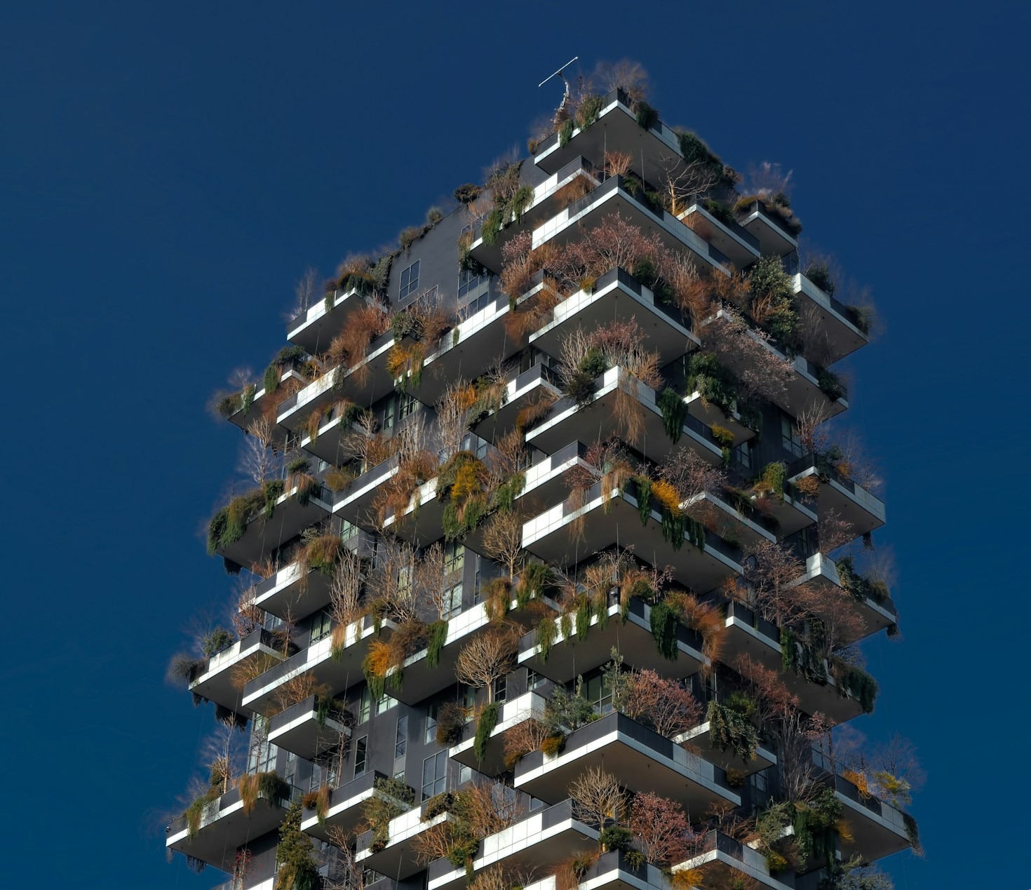 Cómo elevar el diseño contemporáneo en Colombia